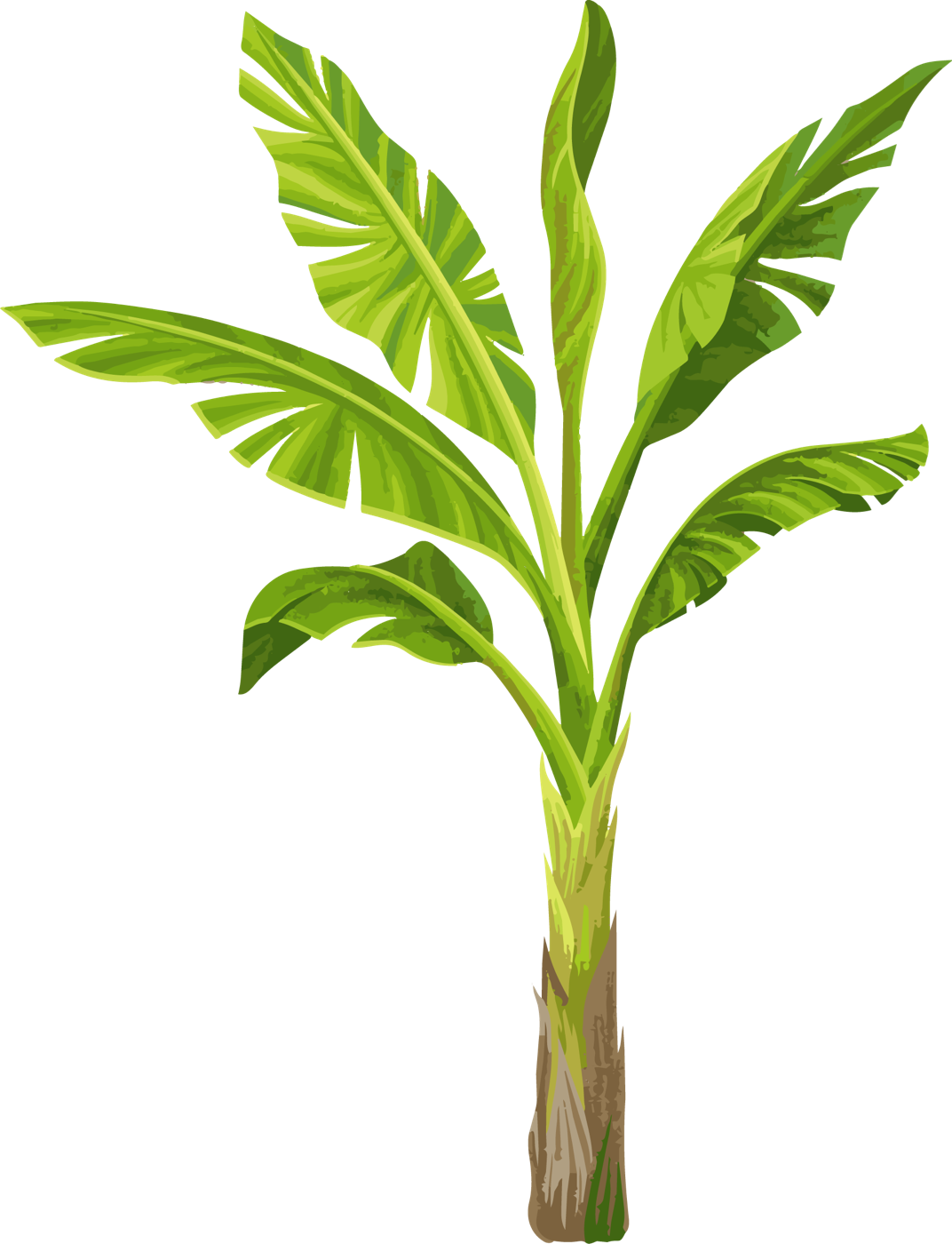 Festive Banana Tree Left