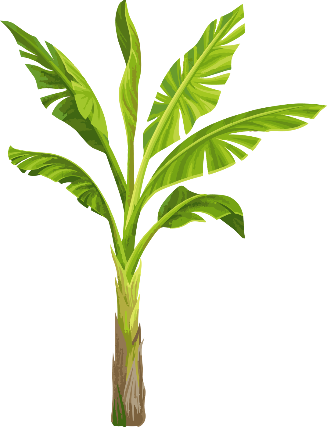 Festive Banana Tree Right